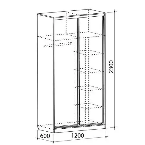 Шкаф-купе Рио 1-600